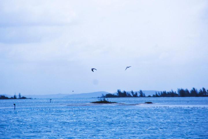 Apartamento Arraial Do Cabo Com Vista Para A Lagoa - Golden Lake Eksteriør billede